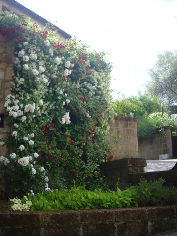 Chiara E Benedetta Villa Degli Ulivi Orvieto Ngoại thất bức ảnh
