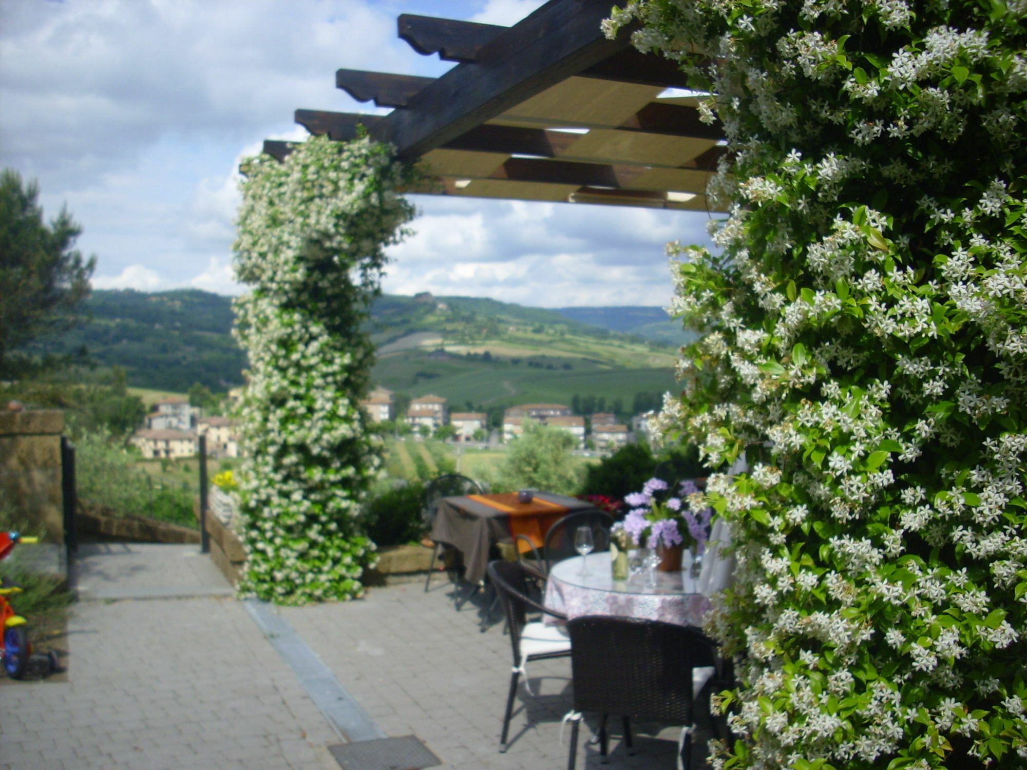 Chiara E Benedetta Villa Degli Ulivi Orvieto Ngoại thất bức ảnh
